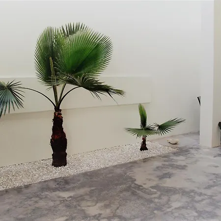 Casa vacanze Square 45